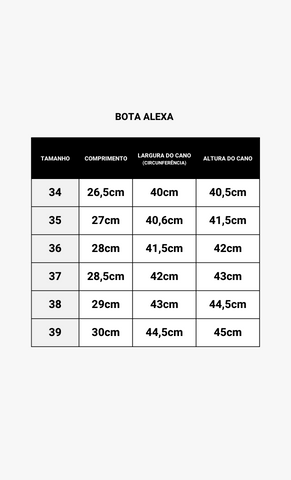 Alexa Off