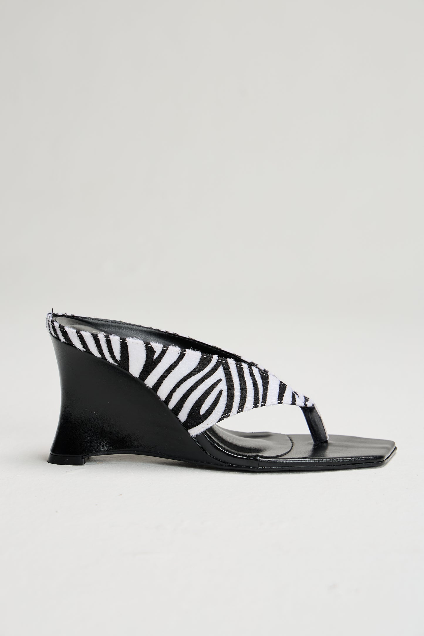 Alana Zebra