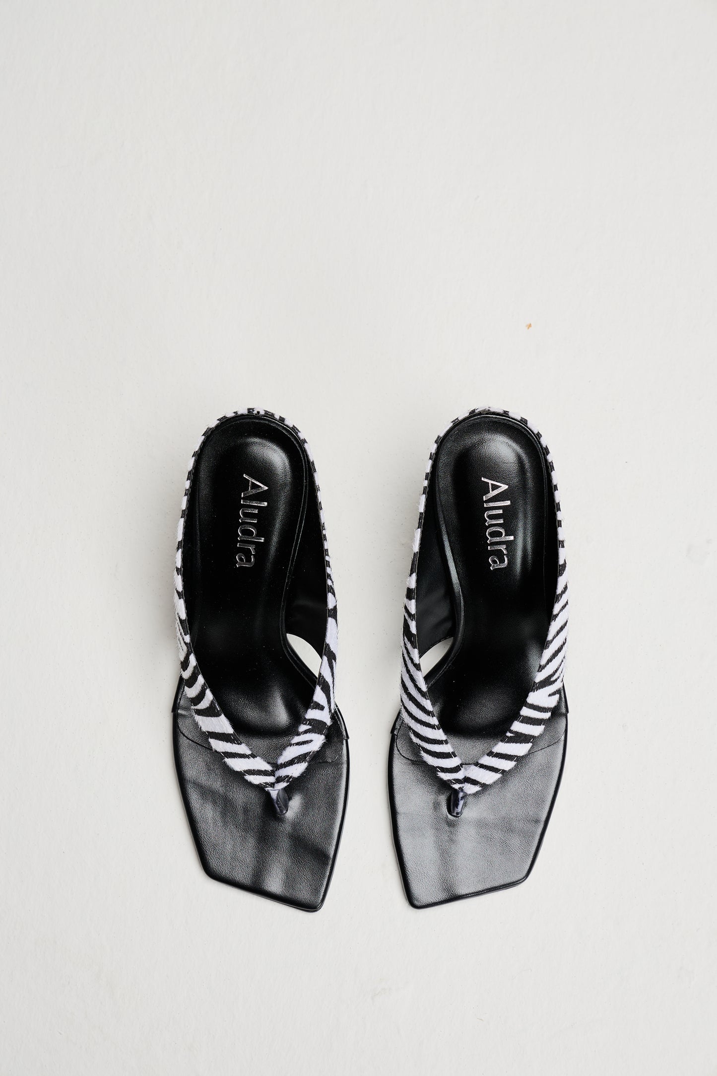 Alana Zebra