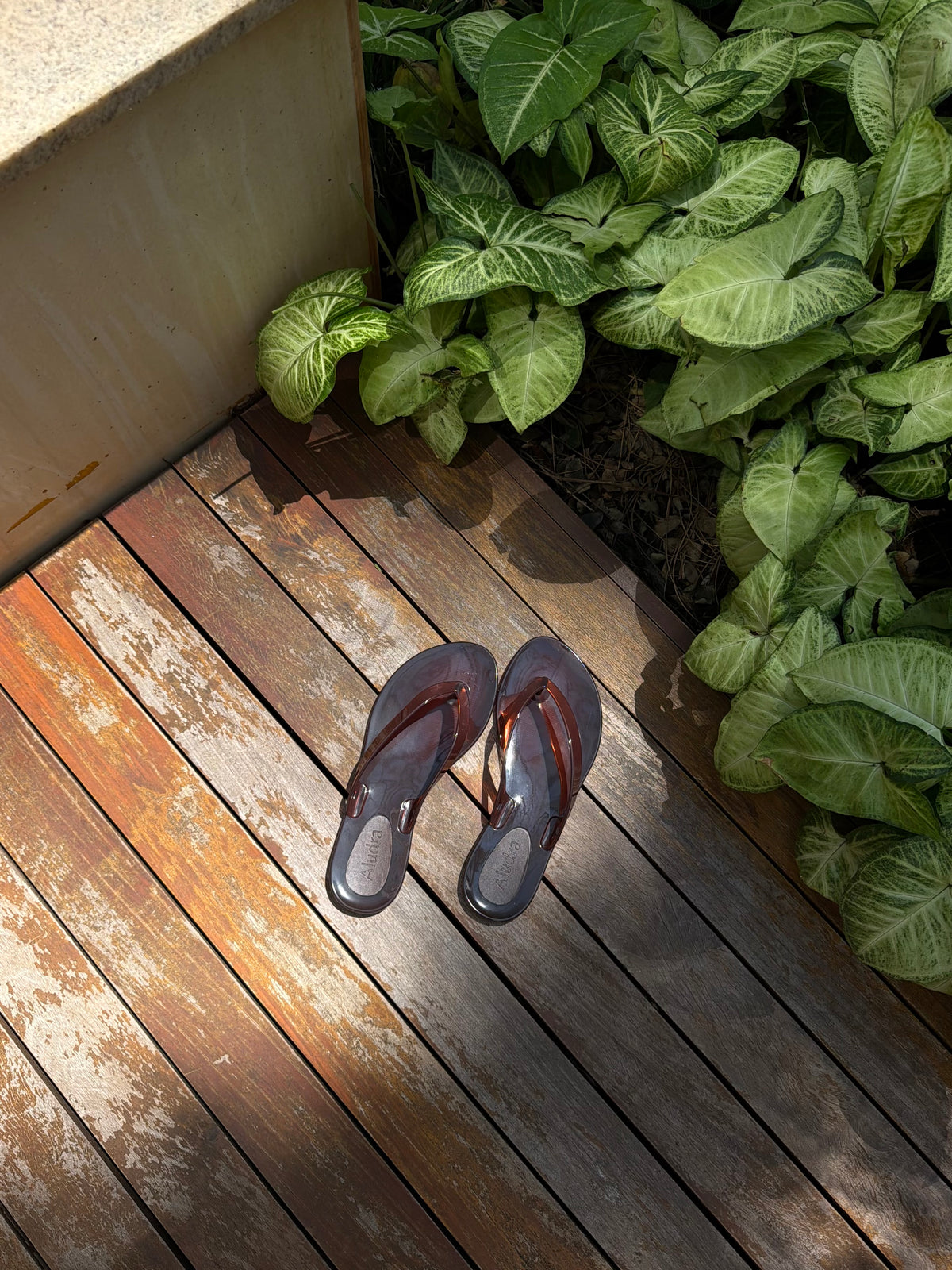 Chinelo Jelly Marrom