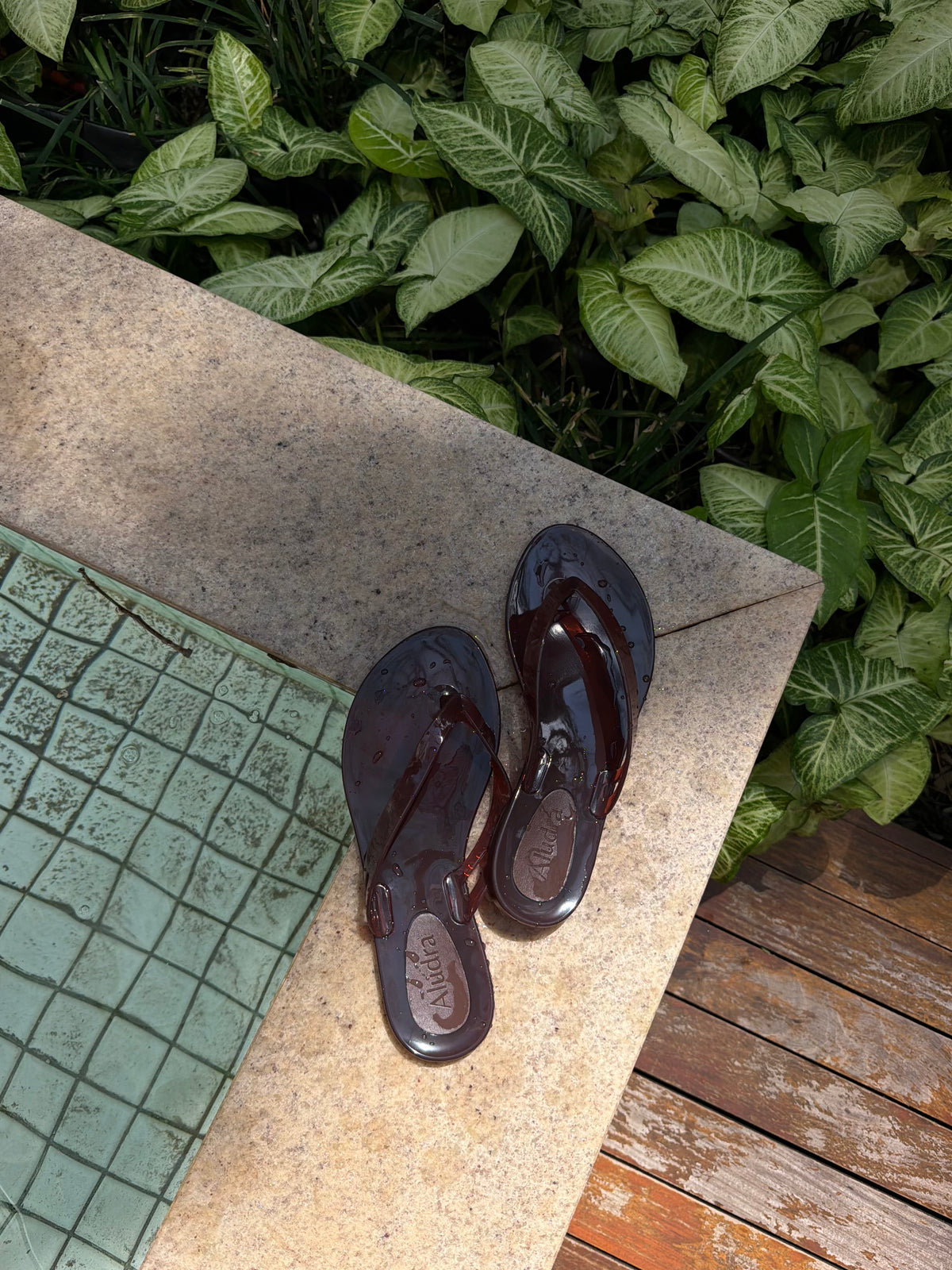 Chinelo Jelly Marrom
