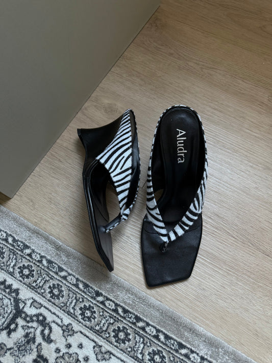 Alana Zebra