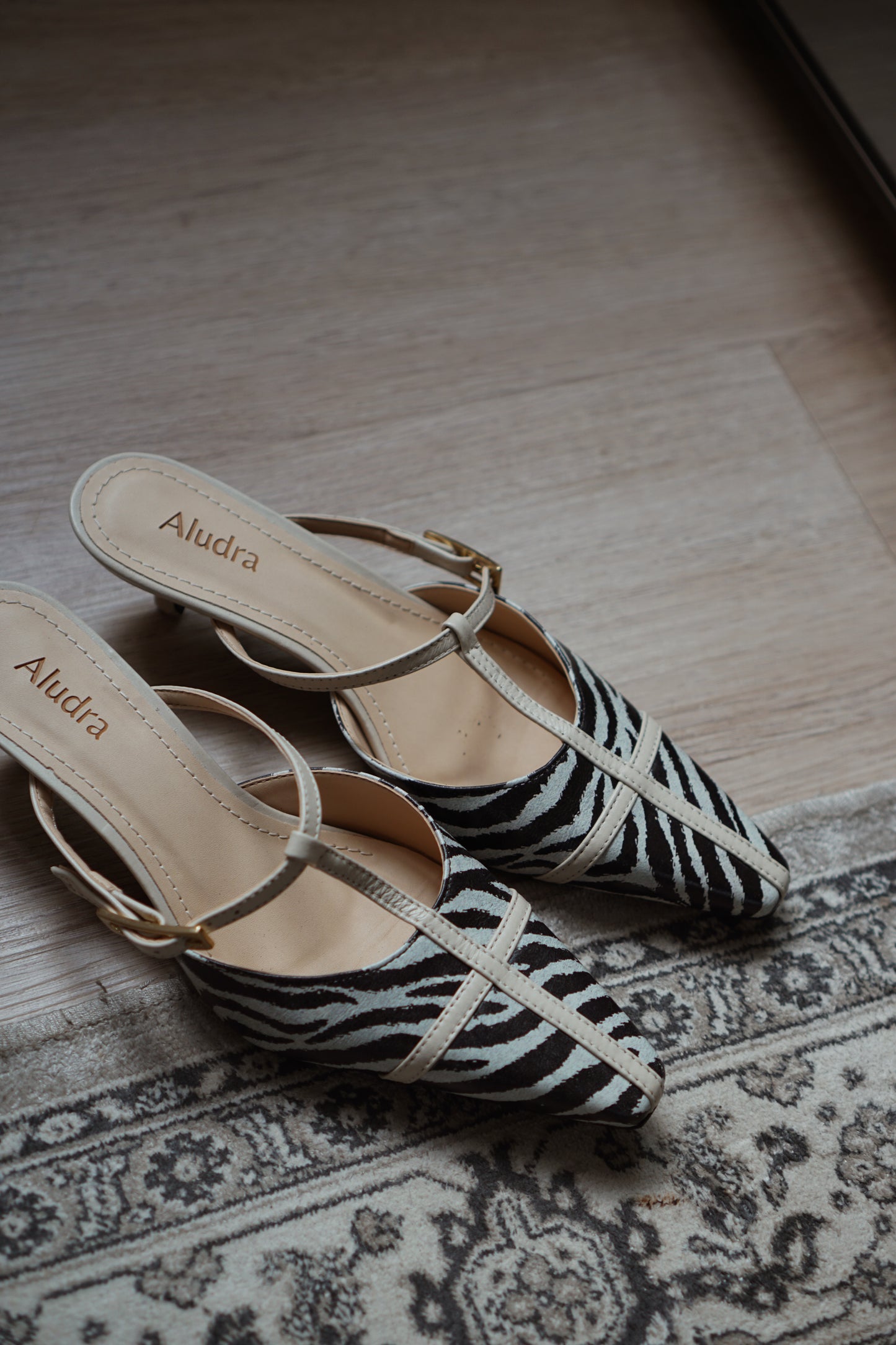 Mule Olivia Zebra