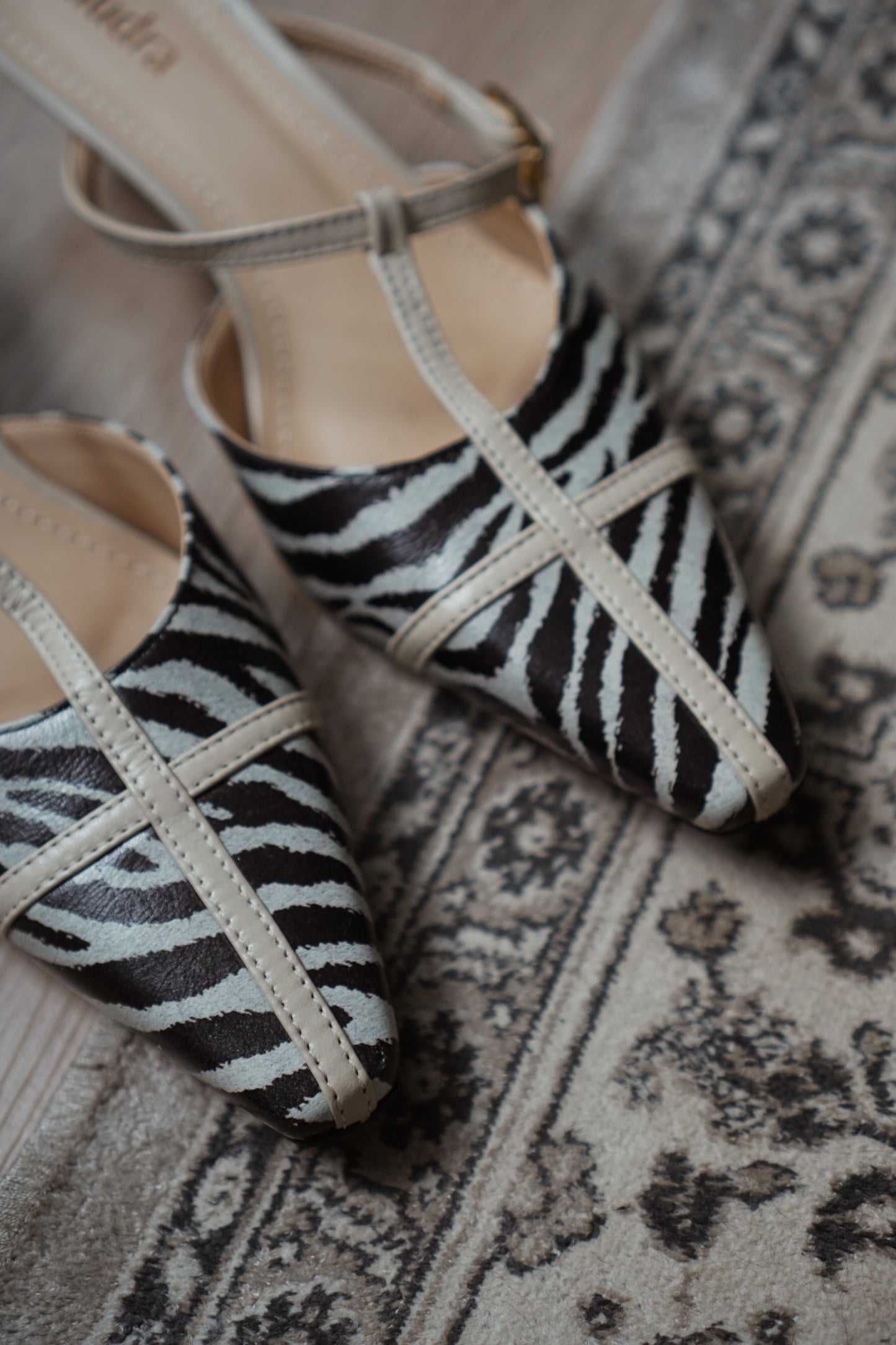 Mule Olivia Zebra