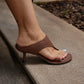 Giulia Chocolate