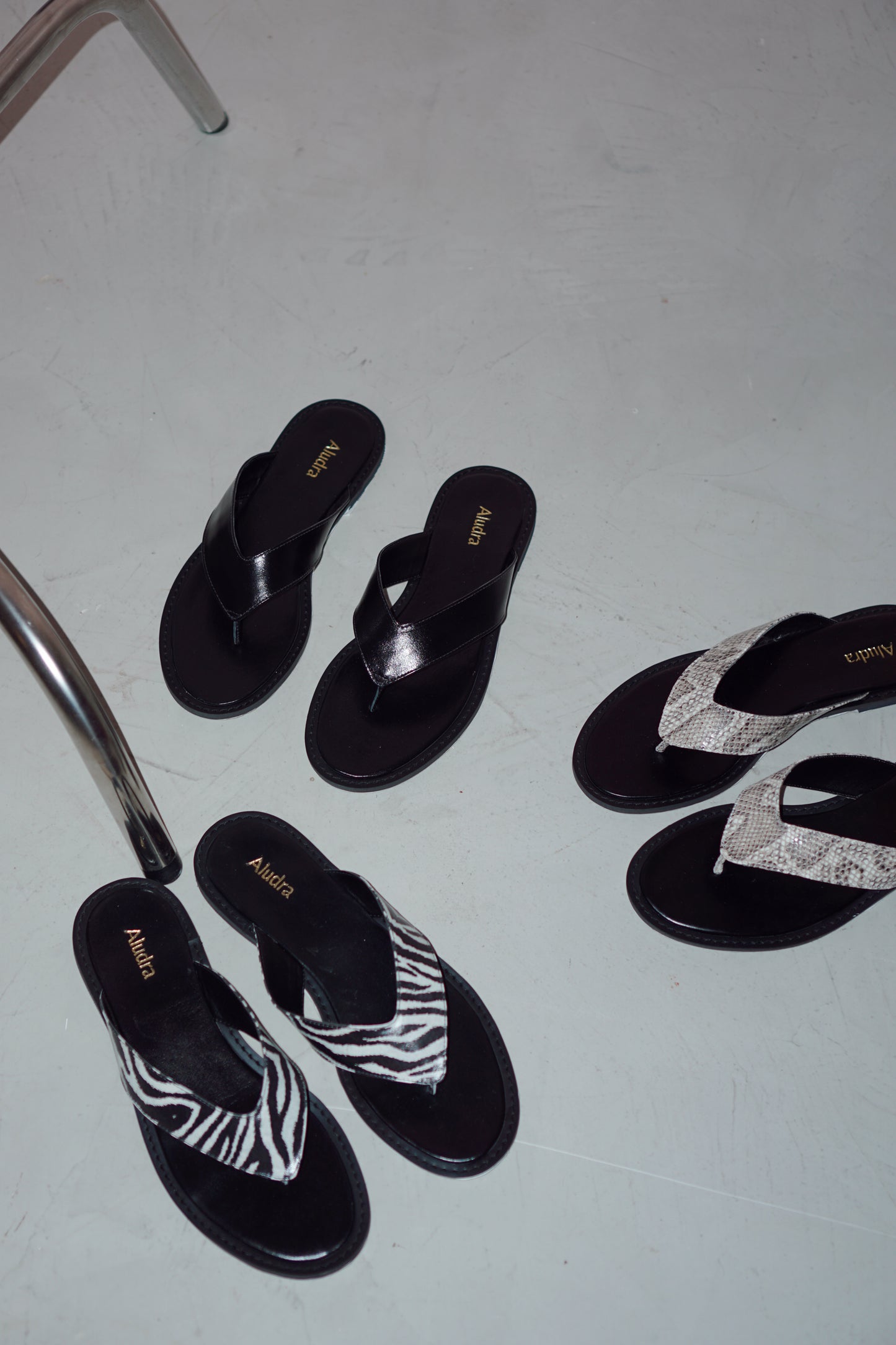 Babi Zebra